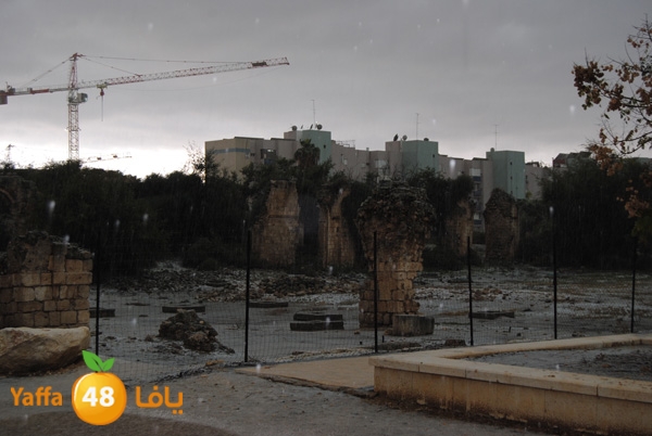 ice ramla 1213 (4).JPG